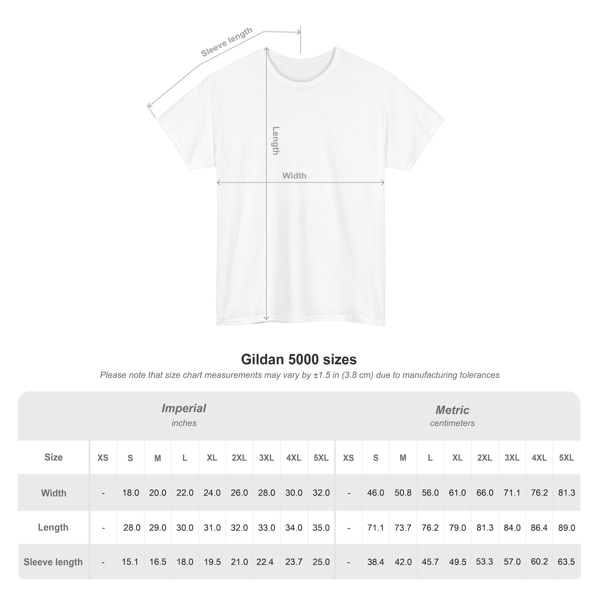 Aesthetic Zero Two Shirt